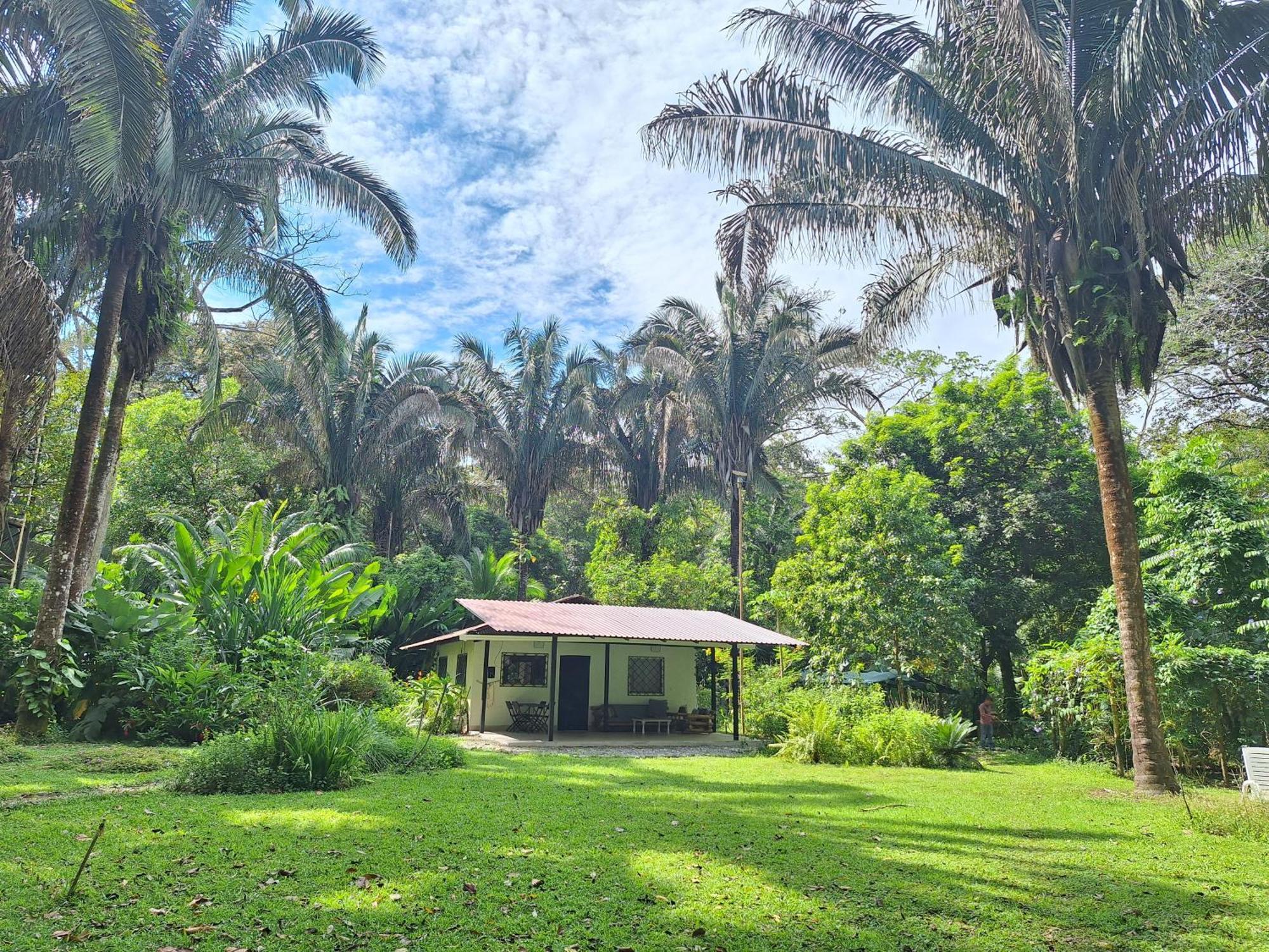 Four Monkeys Eco Lodge Jungle & Beach - The House Cabo Matapalo Exterior photo